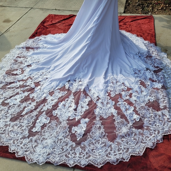 Nice Wedding Dress - Picture 9 of 16